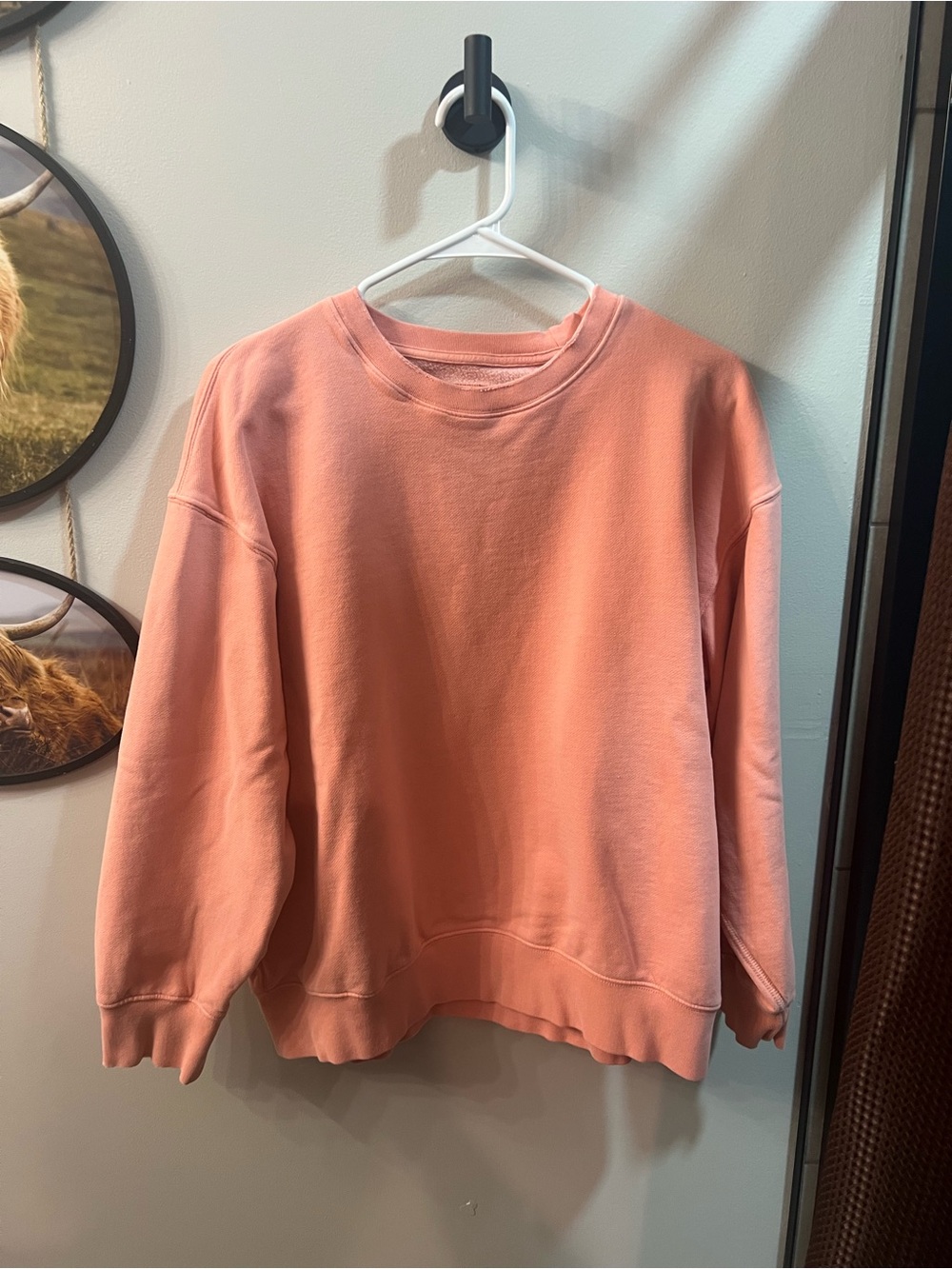 American Eagle Outfitters Peach Crewneck Sweatshirt - Women